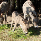 DSC01267.JPG