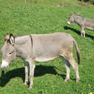 DSC01309.JPG