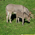 DSC01311.JPG
