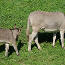 DSC01312.JPG