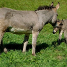 DSC01314.JPG