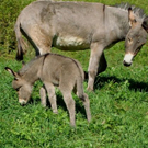 DSC01316.JPG