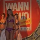 879165.jpg