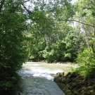 IMG_3232.JPG