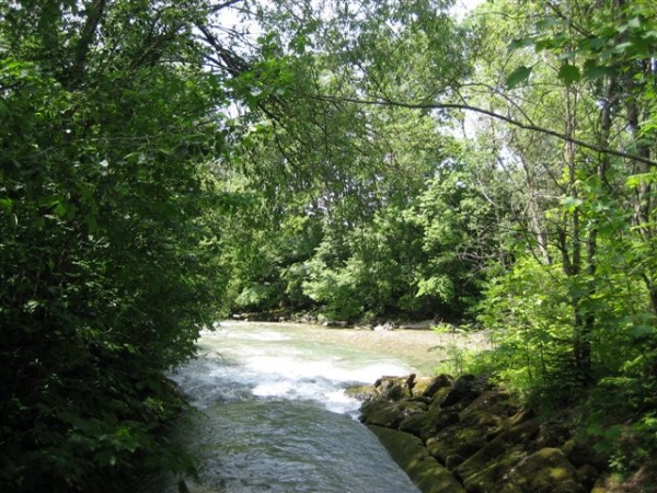 IMG_3232.JPG