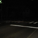 902381.jpg