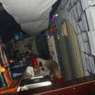 904084.jpg