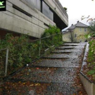 905730.jpg