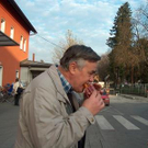 934260.jpg
