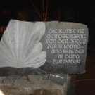 936646.jpg