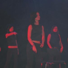 982647.jpg
