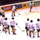 995282.jpg
