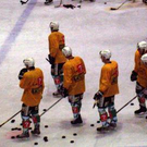 995283.jpg