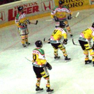995286.jpg