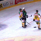 995291.jpg