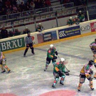 995294.jpg