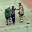 995295.jpg