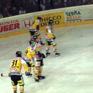 995303.jpg
