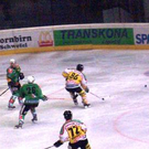 995304.jpg