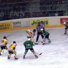995309.jpg