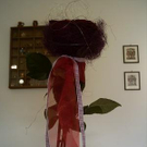 1037339.jpg