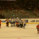 1052835.jpg