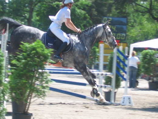 IMG_3327.JPG