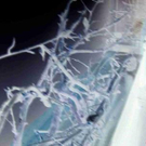 1078794.jpg