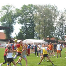 1090046.jpg