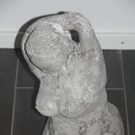 1106640.jpg