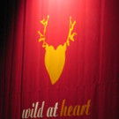 Neueröffnung 'wild at heart' blumen, deko, kunst in Dornbirn