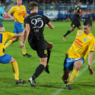 export__34_von_58_.jpg