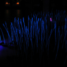 IMG_6630.JPG