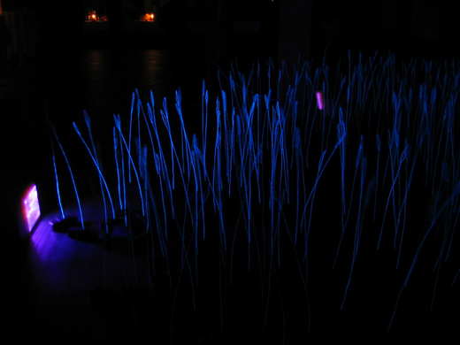 IMG_6630.JPG