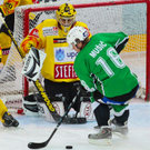 EBEL-Eishockey: Vienna Capitals - Olimpija Laibach 4:1