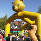 1193245.jpg