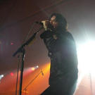 1217410.jpg