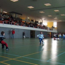 1241931.jpg