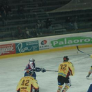 1254709.jpg