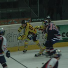 1254716.jpg