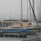 IMG_3655.JPG
