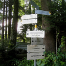 Wanderung in Eichenberg