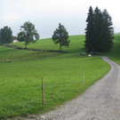 Eichenberg Wanderung _6_.jpg