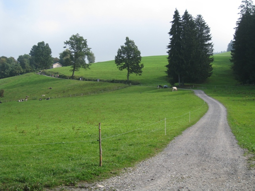 Eichenberg Wanderung _6_.jpg