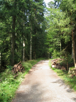 Eichenberg Wanderung _13_.jpg