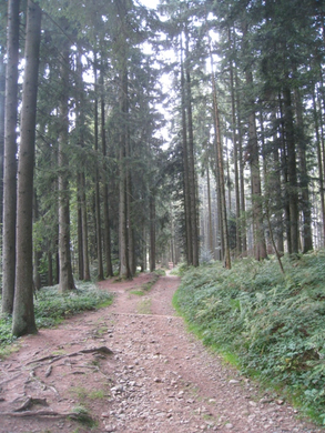 Eichenberg Wanderung _14_.jpg