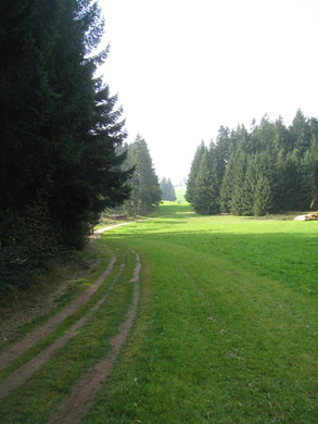 Eichenberg Wanderung _15_.jpg