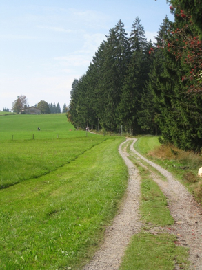 Eichenberg Wanderung _16_.jpg