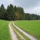 Eichenberg Wanderung _17_.jpg