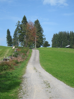 Eichenberg Wanderung _19_.jpg